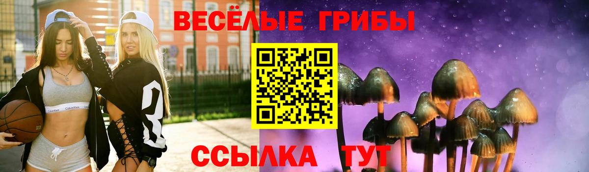 Псилоцибиновые грибы мицелий  Вход с VPN  Семёнов 